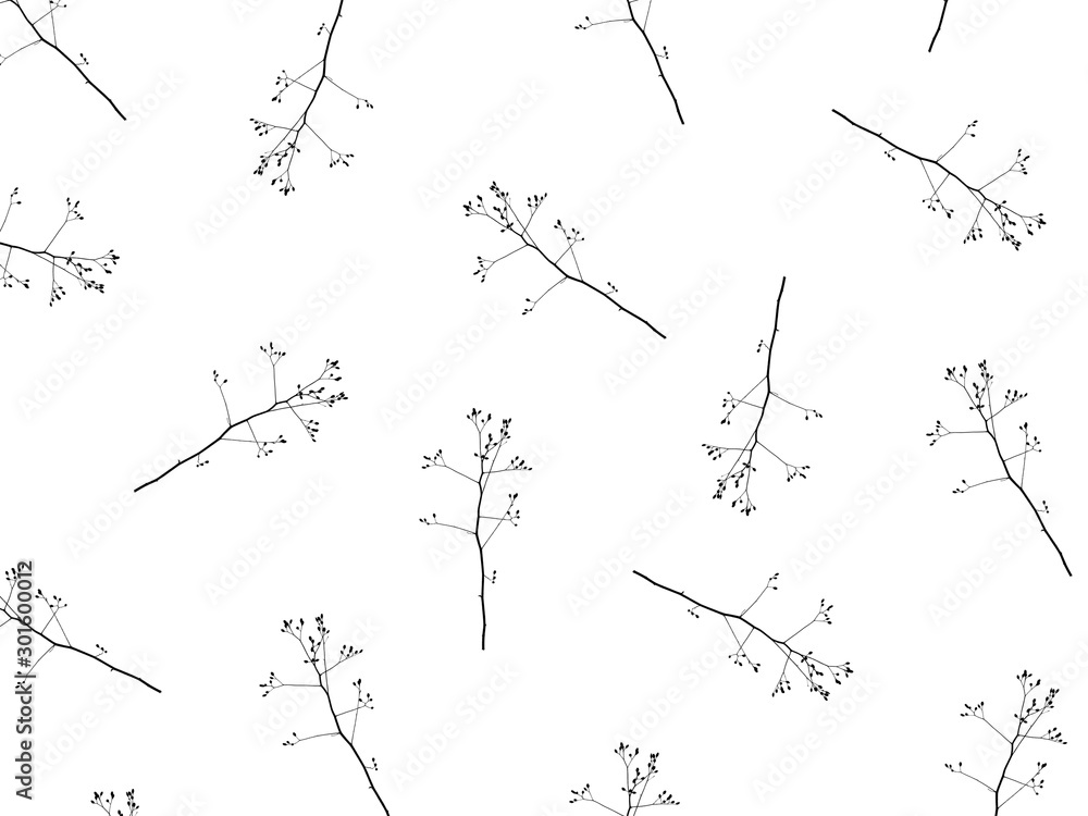 Sprig of tree on a white background