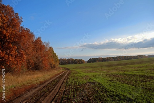 country road alone wood