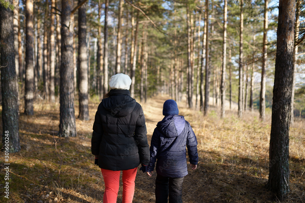 walking in forest walking in forest