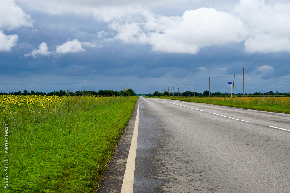 Painting. Country highway in summer cloudy weather before the rain. Painting. Country highway in summer cloudy weather before the rain.