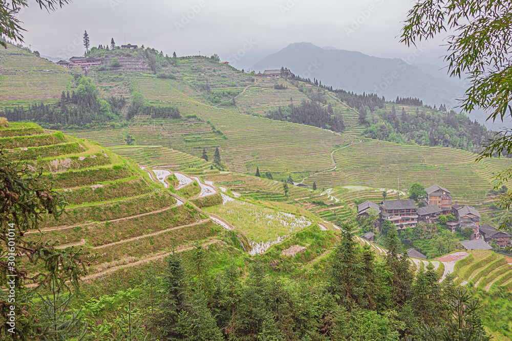 Ping'ancun village in the background of rice fields in the Longsheng area near Guilin