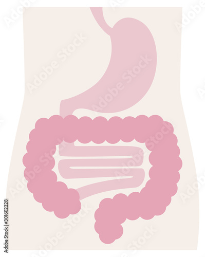 胃腸 photo