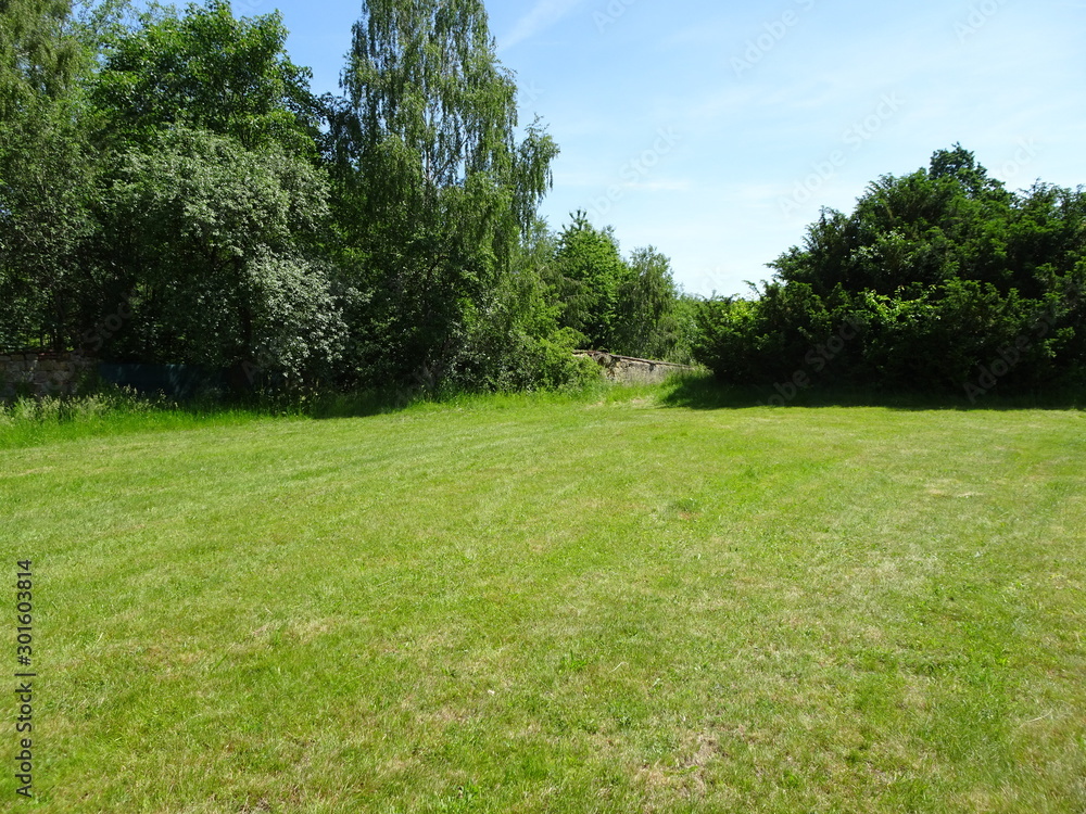 Obraz premium Garden
