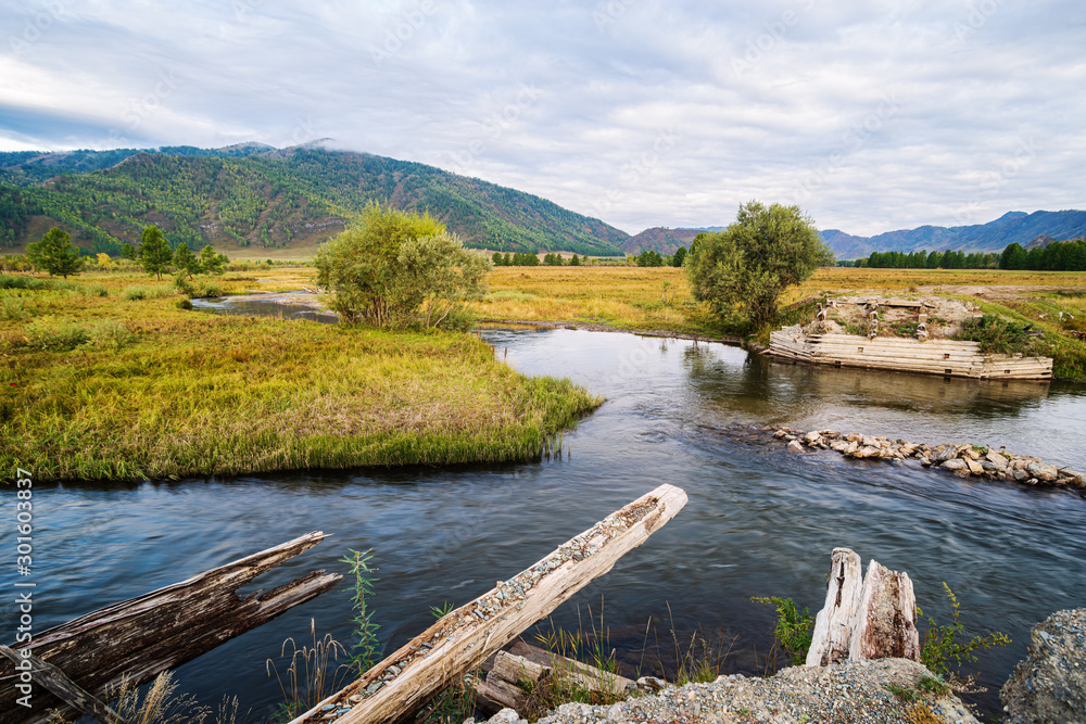 The remains of a destroyed wooden bridge over a river in a mountain valley. Autumn in the Karakol River Valley, Altai Mountains, Russia The remains of a destroyed wooden bridge over a river in a mountain valley. Autumn in the Karakol River Valley, Altai Mountains, Russia
