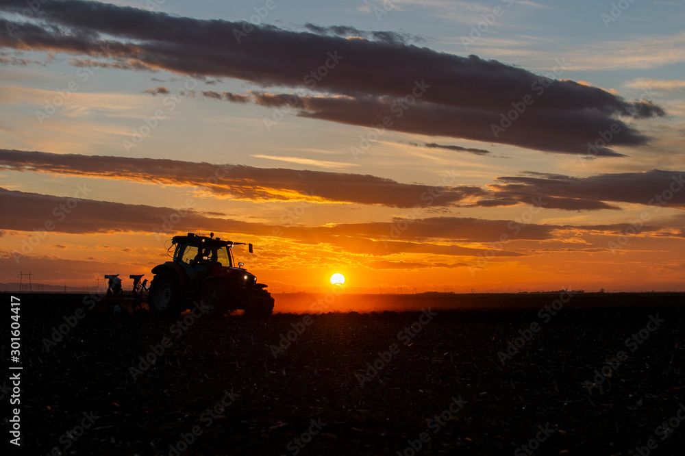 Fototapeta premium Preparing land for sowing