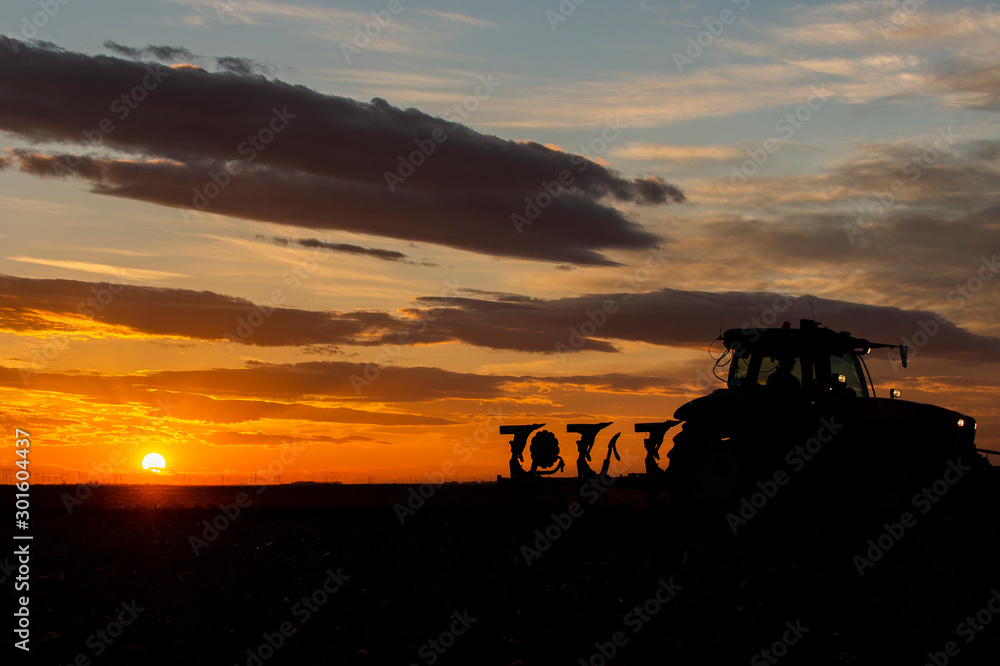 Fototapeta premium Preparing land for sowing