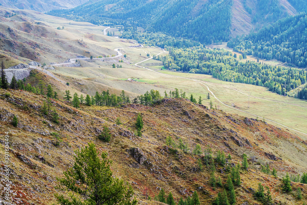 Fototapeta premium Serpentine mountain road. View of the Chuysky tract from the Chike-Taman pass, Altai mountains, Russia