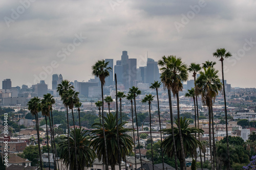 View of Los Angeles, CA with palm trees and moody sky