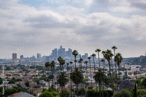 View of Los Angeles, CA with palm trees and moody sky photo