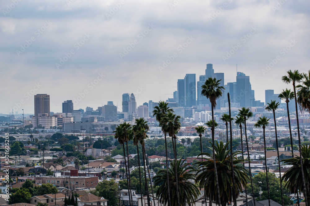 Fototapeta premium Widok na Los Angeles, CA z palmami i nastrojowym niebem