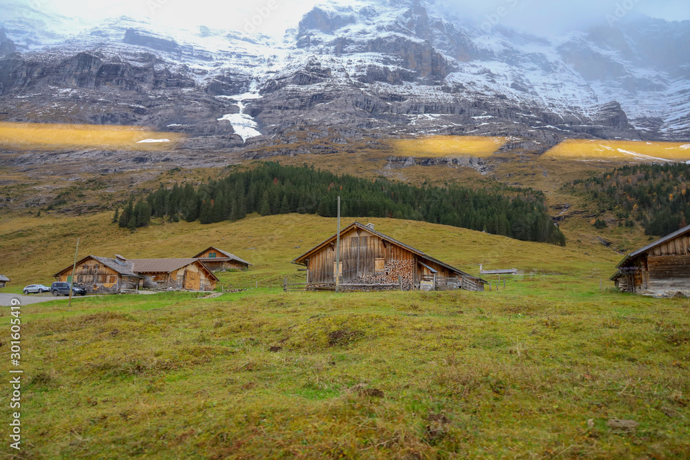 View of country village in nature and environment at swiss View of country village in nature and environment at swiss