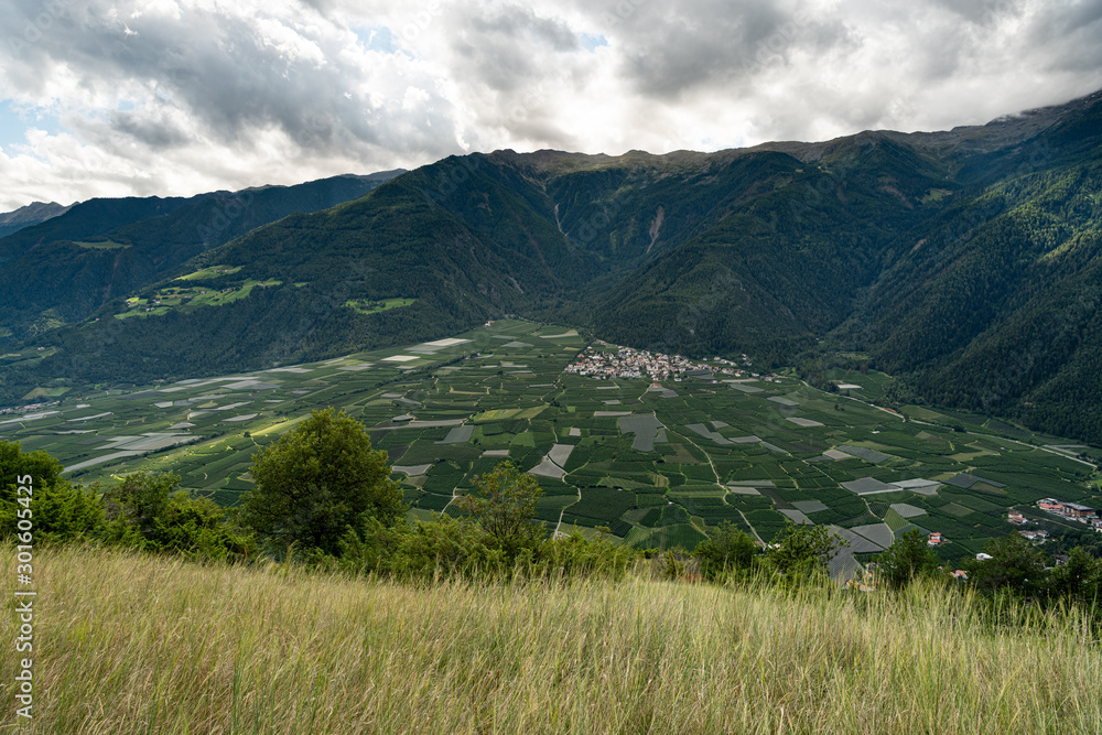Vinschgau valley near Latsch on a cloudy day in summer