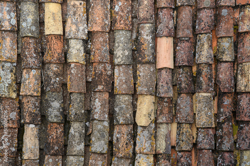 A fragment of an old tiled roof covered with mold and traces of time. Aged shingles. Background. Pattern. Terracotta. Gray. Ocher.