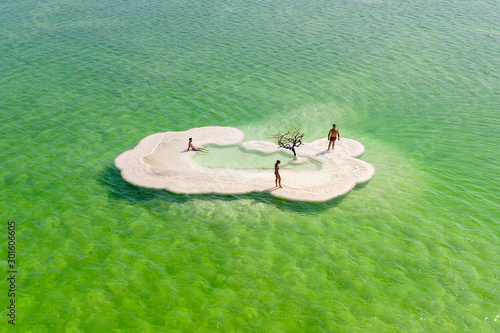 Canvas Print Aerial footage of a Bare tree on a salt deposit in the Dead Sea
