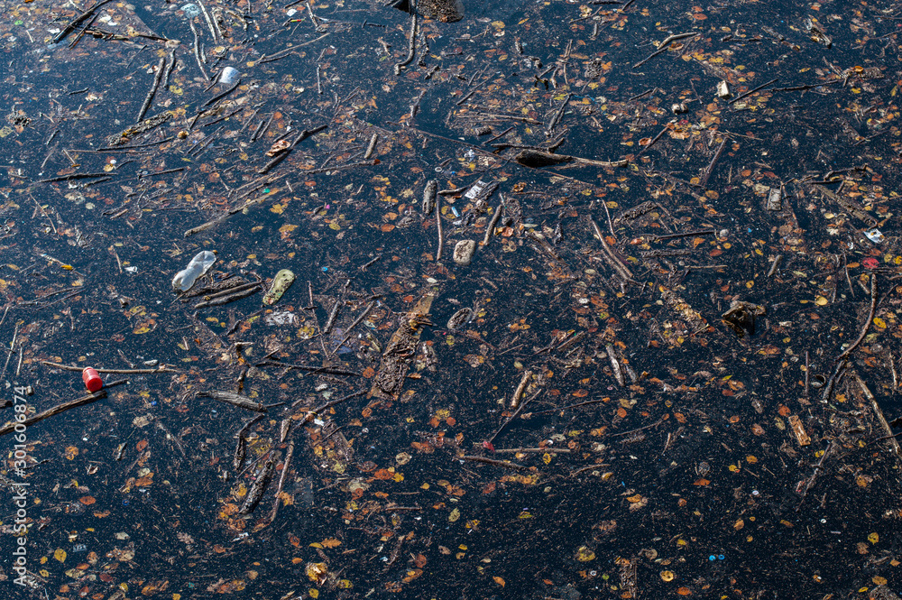 Water pollution in a lake - junk and fallen autumn leaves in the water Water pollution in a lake - junk and fallen autumn leaves in the water