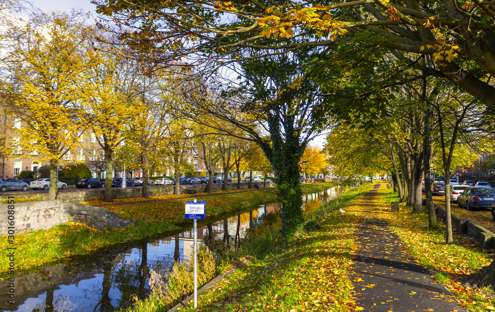 Grand Canal Dublin Ireland during Autumn. Leaf covered towpath  /  walkway. Reflections in water. Canal Percy Place /  Warrington Place C3