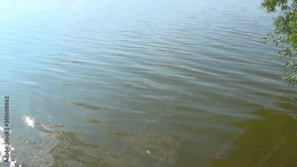 Solar reflections and glare on the surface of soothing waves of water in summer Solar reflections and glare on the surface of soothing waves of water in summer