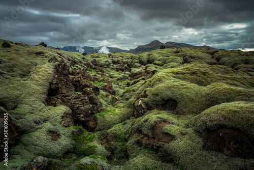 Green moss covered volcanic lava field.