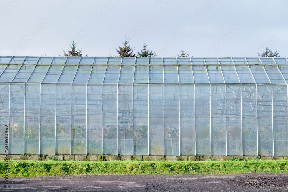 Glass greenhouse at horticulture farm show Glass greenhouse at horticulture farm show