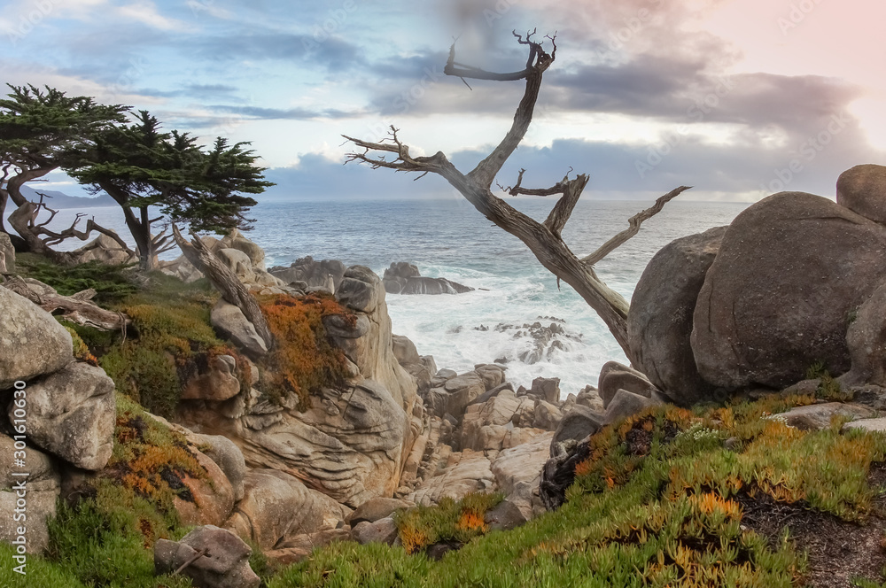 Dramatic coastline views as seen from iconic 17 Mile Drive near Pebble Beach and Pacific Grove. Monterey County, California, USA. Dramatic coastline views as seen from iconic 17 Mile Drive near Pebble Beach and Pacific Grove. Monterey County, California, USA.