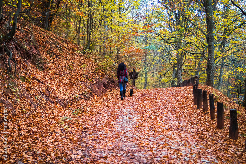Young woman walk on a forest footpath covered with fallen leaves at autumn. Camping place Grza near the Paracin in Serbia. Young woman walk on a forest footpath covered with fallen leaves at autumn. Camping place Grza near the Paracin in Serbia.