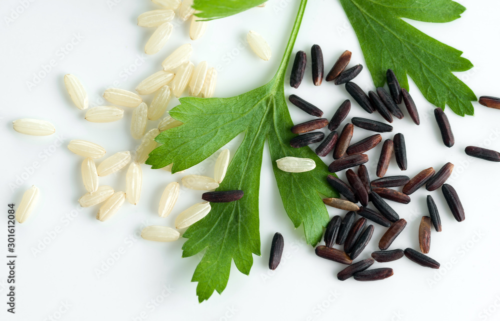 Grains of black and white unpolished rice with a sprig of parsley on white background. Grains of black and white unpolished rice with a sprig of parsley on white background.