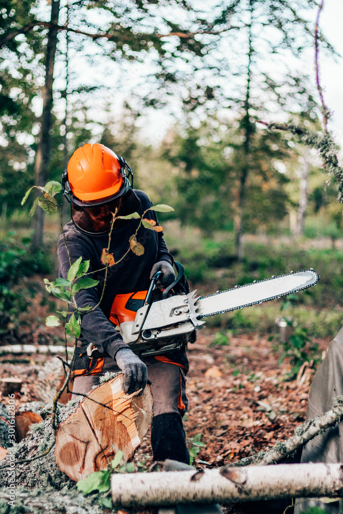 Obraz premium lumberjack cuts down trees with a chainsaw