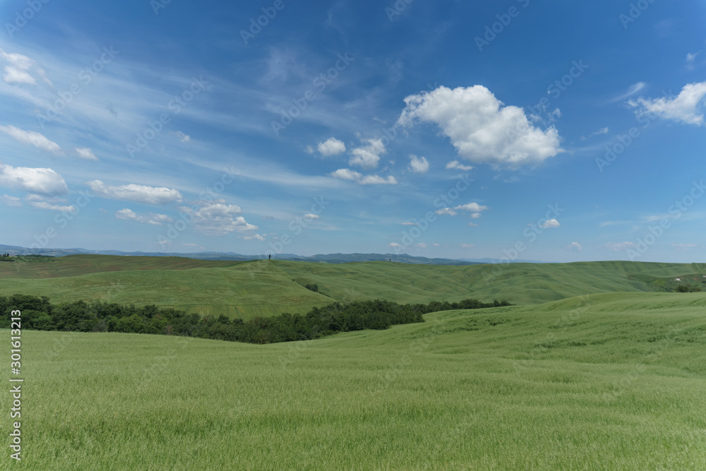 landscape with green fields and blue sky in Tuscany, Italy landscape with green fields and blue sky in Tuscany, Italy