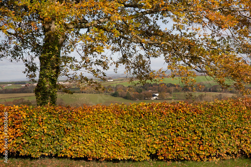 Autumn Landscape Looking over the countryside in Devon