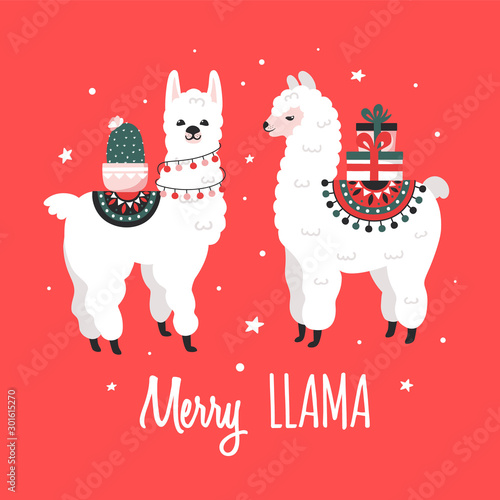 Merry Christmas greeting card with cute Lamas. Vector illustration.