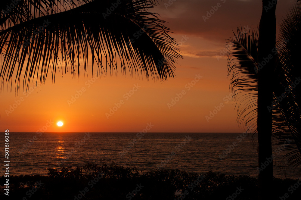 sunset and palms silouettes on a beach