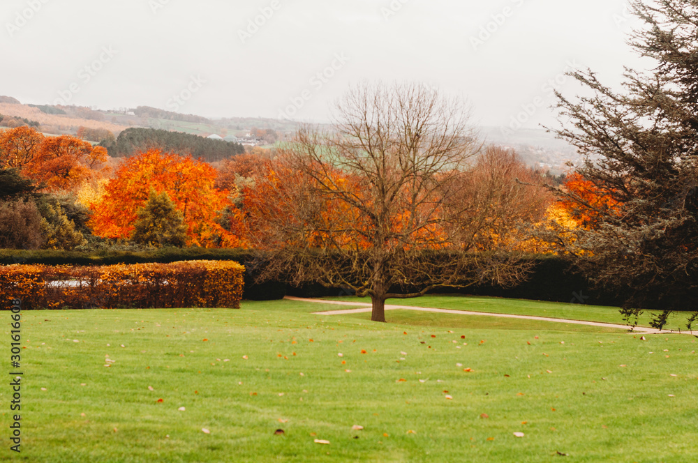 autumn in the park