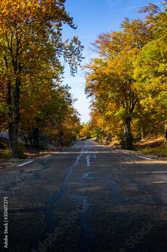 Route d automne