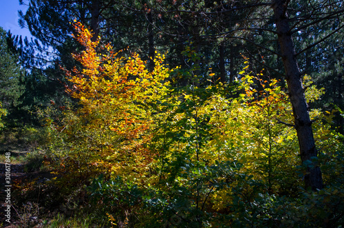 L automne dans le Luberon