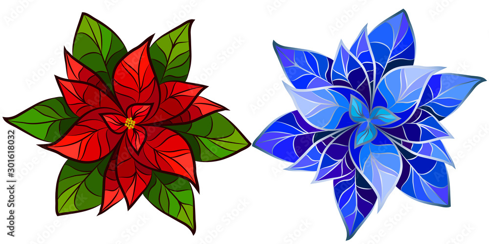 Poinsettia Flower / Christmas Star. Set of two colorful images of  poinsettia flower / Christmas star on a white background. vector de Stock |  Adobe Stock