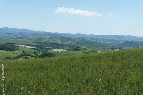 Tuscany hills