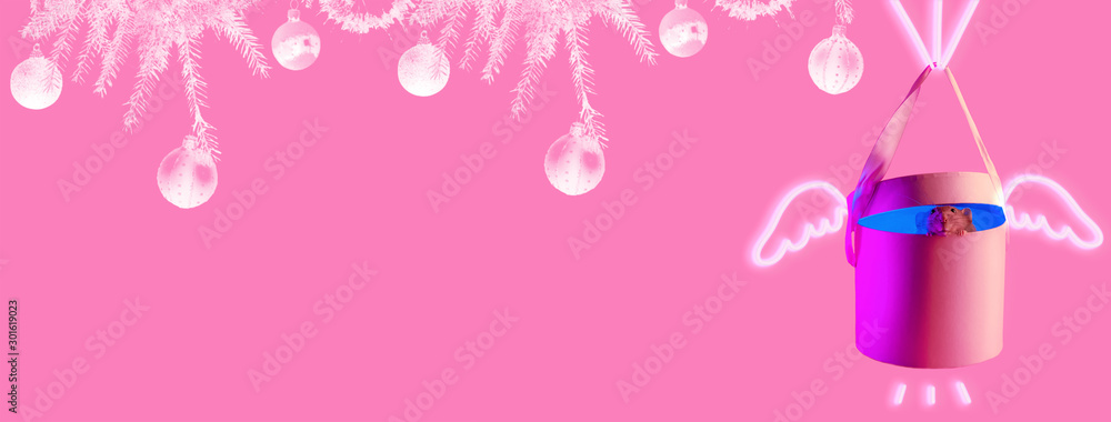 decorative rat symbol of the year in neon light in gift on pink background