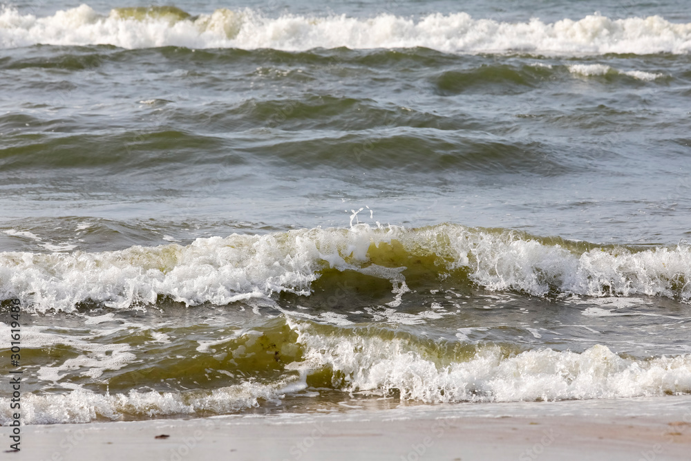 Foamed waves of the Baltic Sea