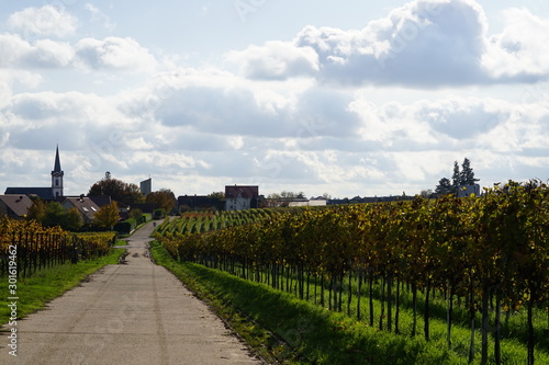 Idyllischer Blick auf Edesheim in der Pfalz photo