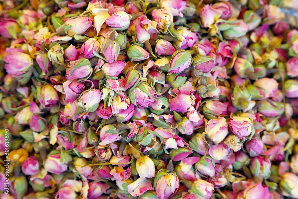 Many small roses Many small roses