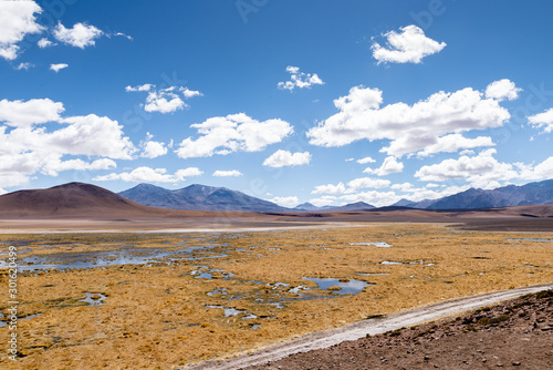 Rio Putana  Atacama Desert  Antofagasta Region  Chile