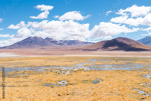 Rio Putana, Atacama Desert, Antofagasta Region, Chile