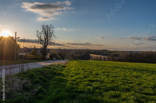 the beautiful field