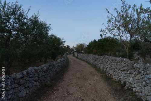 road in the countryside in the southern italy