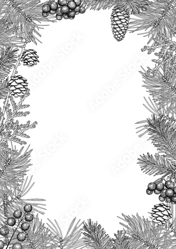 Vintage black and white frame. Hand-drawn branches and cones of spruce, pine, larch, rowan berries, juniper. Vector Christmas background, EPS 10.