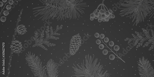 Vector hand-drawn illustration. Branches and cones of pine, spruce, larch, mountain ash, juniper. Christmas, New Year vintage background. EPS 10