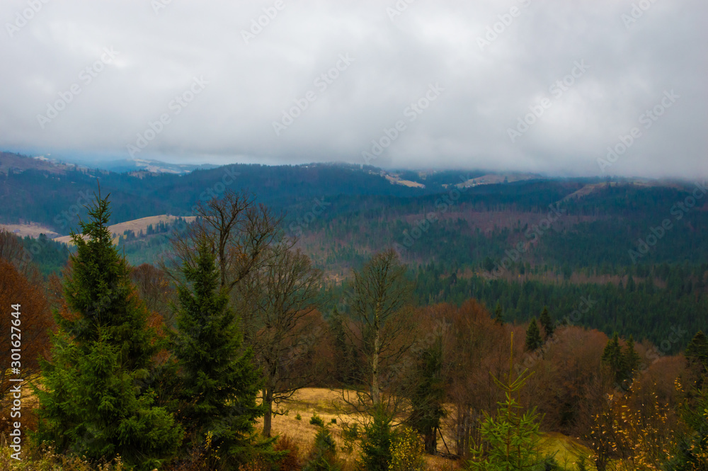 Autumn landscape backgroun in the rain with fog Autumn landscape backgroun in the rain with fog