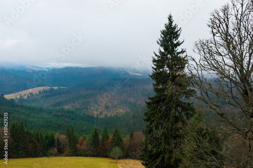 Wallpaper Mural Autumn landscape backgroun in the rain with fog Torontodigital.ca