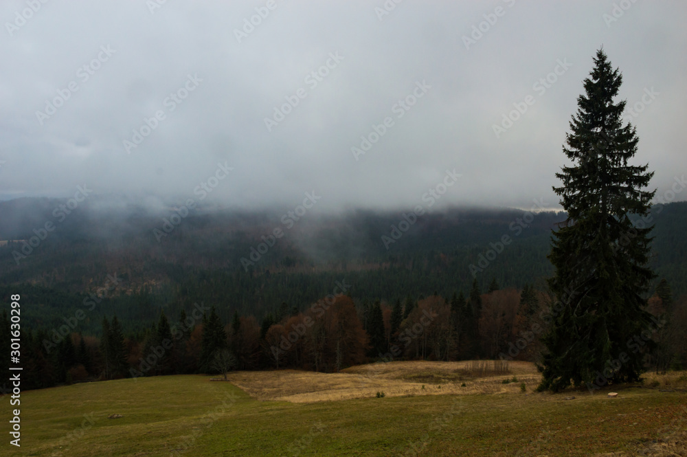 Autumn landscape backgroun in the rain with fog