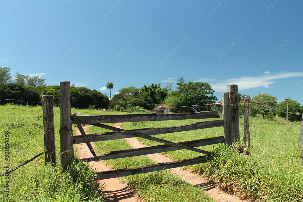 A brazilian farm gate and green grass in São José do Rio Preto, SP